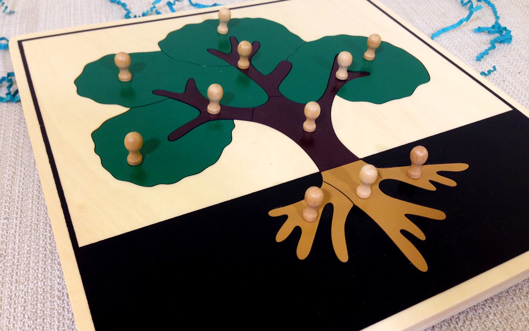 Montessori Tree Puzzle