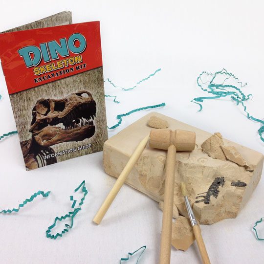 dinosaur dig kit amazon