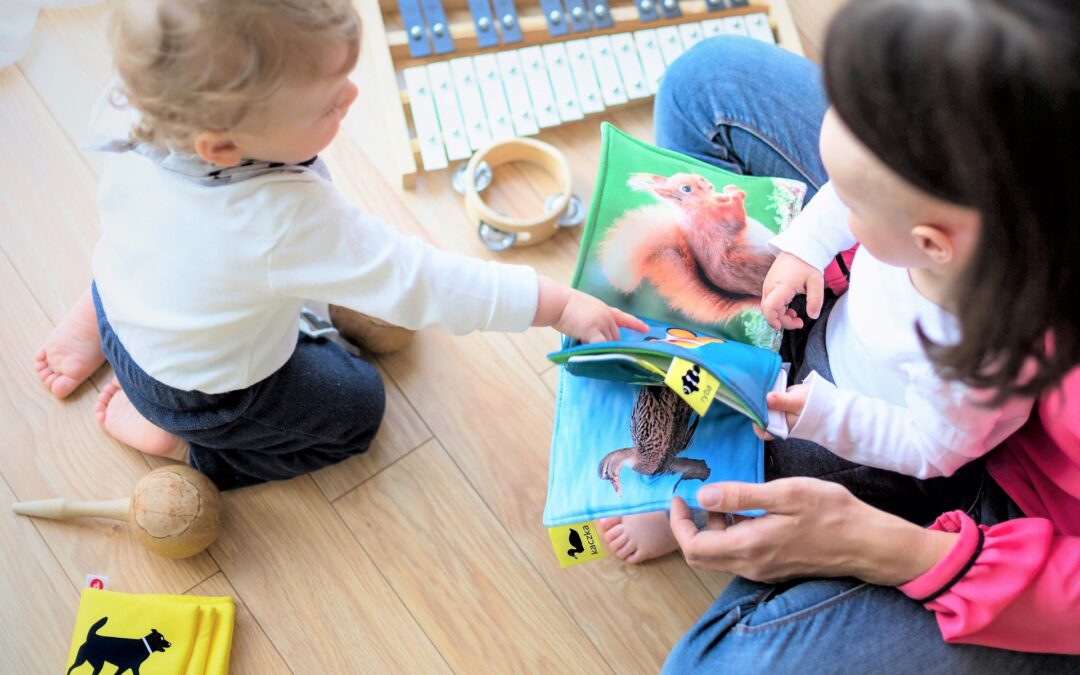 Selecting The Best Montessori at Home Children’s Books