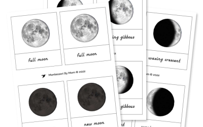 3-Part Cards For Moon Phases