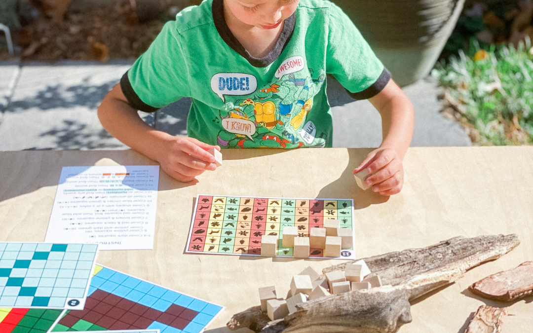 Montessori Homeschool Curriculum For Ages 3-6