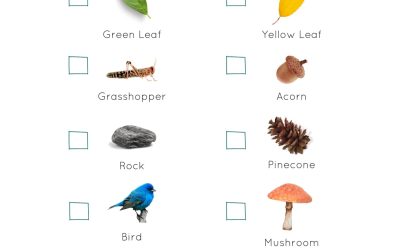 FREE Montessori Printable: Fall Scavenger Hunt